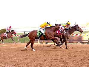 All Is Well After 'Wildest Race' at Pimlico All Is Well After 'Wildest Race' at Pimlico