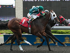 Clarendon Winner Spin the King First for Sire Clarendon Winner Spin the King First for Sire