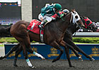 Clarendon Winner Spin the King First for Sire Clarendon Winner Spin the King First for Sire