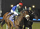 Splash Point Soaks Rivals in UAE 2000 Guineas Splash Point Soaks Rivals in UAE 2000 Guineas