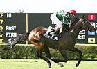 Mitchell's Sporting Art in Del Mar 'Cap Mitchell's Sporting Art in Del Mar 'Cap