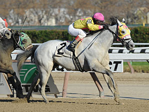 Sportswriter, Sunny Desert Win NYSS races Sportswriter, Sunny Desert Win NYSS races