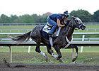 Spot Likely for Florida Derby After Big Work Spot Likely for Florida Derby After Big Work