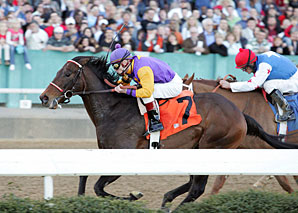 Spotsgone Tries to Repeat in Hanshin Cup Spotsgone Tries to Repeat in Hanshin Cup