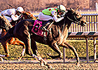 Spotted Heart Upsets MD Filly Championship Spotted Heart Upsets MD Filly Championship