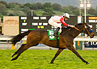 Spring House Sets Table for Dubai