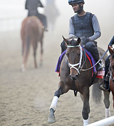 'Little Zenyatta' Ready for Juvenile Fillies 'Little Zenyatta' Ready for Juvenile Fillies