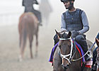 'Little Zenyatta' Ready for Juvenile Fillies 'Little Zenyatta' Ready for Juvenile Fillies