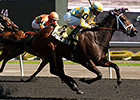 Spring in the Air Exudes Class in Hendrie Win Spring in the Air Exudes Class in Hendrie Win