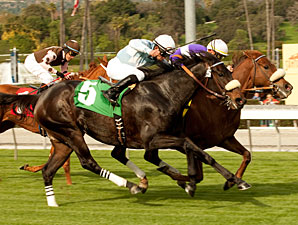 Spring Style Surprises Slim Frankel Field Spring Style Surprises Slim Frankel Field