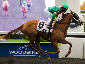 Spring Venture Stays On Course in Mazarine Spring Venture Stays On Course in Mazarine