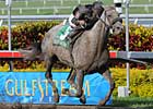 Inbreeding Propels Spring Waltz Inbreeding Propels Spring Waltz