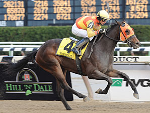 Springside Injured in Demoiselle Romp Springside Injured in Demoiselle Romp