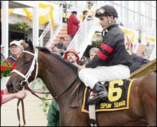Adena Springs Reduction of Breeding Stock Set for November Adena Springs Reduction of Breeding Stock Set for November