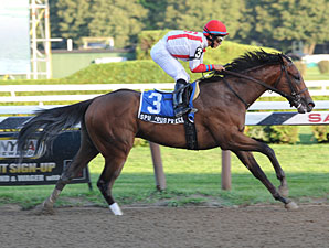 Spurious Precision Honest in Saratoga Special Spurious Precision Honest in Saratoga Special