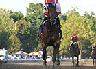 Top 2-Year-Old Spurious Precision Euthanized Top 2-Year-Old Spurious Precision Euthanized