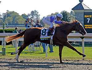 Grade I Winner Square Eddie Back in Training Grade I Winner Square Eddie Back in Training