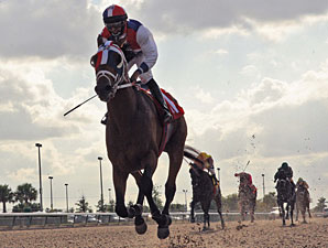 Sr. Quisqueyano Romps in Calder Derby Sr. Quisqueyano Romps in Calder Derby