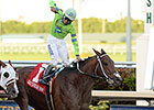 Recent Claim Sr. Quisqueyano Rules SM Classic Recent Claim Sr. Quisqueyano Rules SM Classic