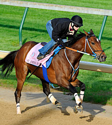 More Oaks Possibles Work at Churchill More Oaks Possibles Work at Churchill