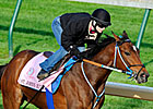 More Oaks Possibles Work at Churchill