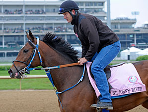 St. John's River Looking to Shine in Oaks St. John's River Looking to Shine in Oaks