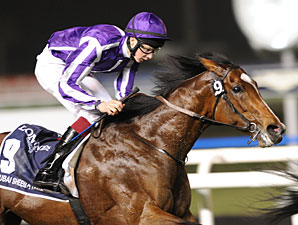 St Nicholas Abbey Dealt Setback in Recovery St Nicholas Abbey Dealt Setback in Recovery