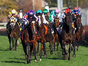 O'Briens Team Up to Win Breeders' Cup Turf O'Briens Team Up to Win Breeders' Cup Turf