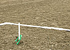 Perfect Pitch Earns $1M at Santa Anita Perfect Pitch Earns $1M at Santa Anita