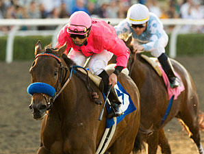 Milady, Railbird Highlight Hollywood Card Milady, Railbird Highlight Hollywood Card