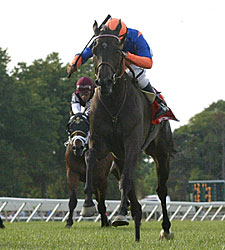 Stacelita Slight Choice in Strong Beverly D. Stacelita Slight Choice in Strong Beverly D.