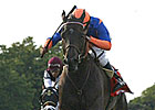 Stacelita Slight Choice in Strong Beverly D.