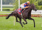 Flower Bowl First Choice for Stacelita