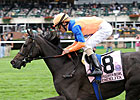 Stacelita Works Four Furlongs at Belmont