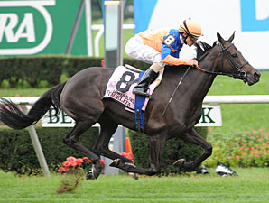 Stacelita an Emphatic Flower Bowl Winner Stacelita an Emphatic Flower Bowl Winner