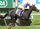 Stacelita Earns Turf Female Championship Stacelita Earns Turf Female Championship