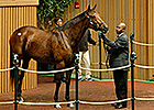 Star Billing Sells for $2.6 Million Star Billing Sells for $2.6 Million