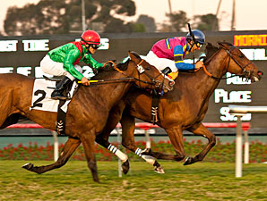 Star Billing Comes Out On Top in Matriarch Star Billing Comes Out On Top in Matriarch