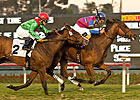 Star Billing Comes Out On Top in Matriarch Star Billing Comes Out On Top in Matriarch