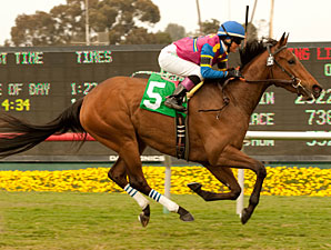 Star Billing Seeks More Fame in Honeymoon Star Billing Seeks More Fame in Honeymoon