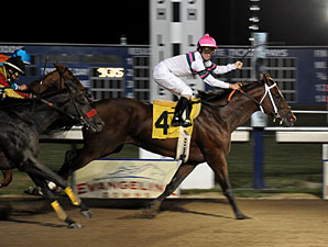 Star Guitar Repeats in Evangeline Mile Star Guitar Repeats in Evangeline Mile