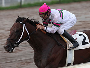 Star Guitar, Others Seek Louisiana Repeats Star Guitar, Others Seek Louisiana Repeats