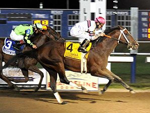 Star Guitar to Stand at Clear Creek Stud Star Guitar to Stand at Clear Creek Stud