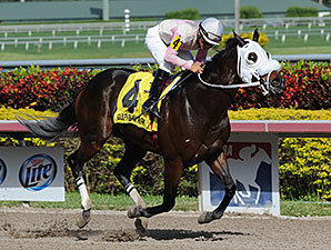 Star Harbour Could Shine in Mr. Prospector Star Harbour Could Shine in Mr. Prospector