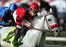Star Over the Bay Brilliant in Sunshine Turf Star Over the Bay Brilliant in Sunshine Turf