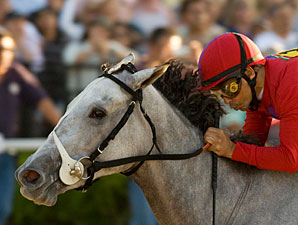 'Bound' for Stardom in Juvenile Fillies 'Bound' for Stardom in Juvenile Fillies