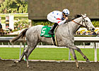 Stardom Bound Draws a Crowd in La Canada Stardom Bound Draws a Crowd in La Canada