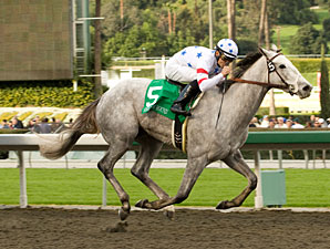 Stardom Bound, 'Dixie Start New in El Encino