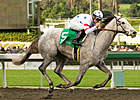 Stardom Bound, 'Dixie Start New in El Encino