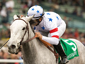 Champion Stardom Bound Retired From Racing Champion Stardom Bound Retired From Racing